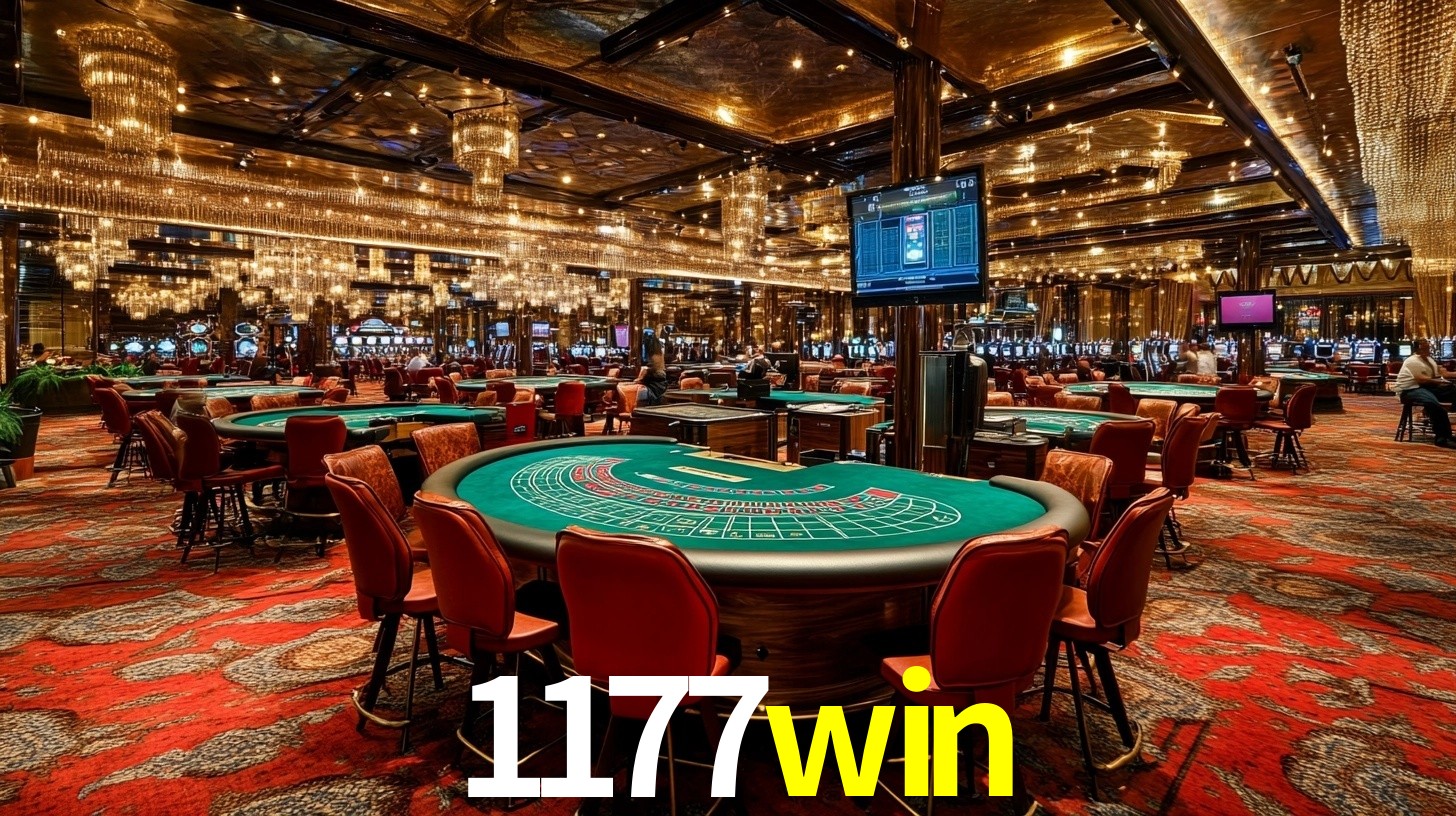 Programa VIP 1177win